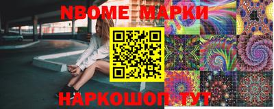Альфа ПВП Дубна