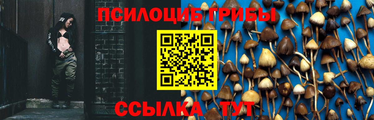 Псилоцибиновые грибы MAGIC MUSHROOMS  Вход с VPN  Лабытнанги  купить   Галлюциногенные грибы мицелий 