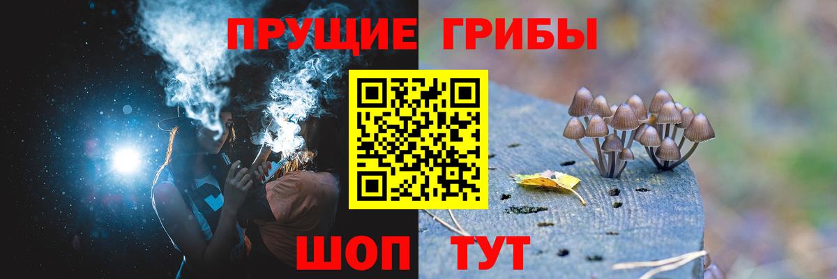 Галлюциногенные грибы мухоморы Лабытнанги